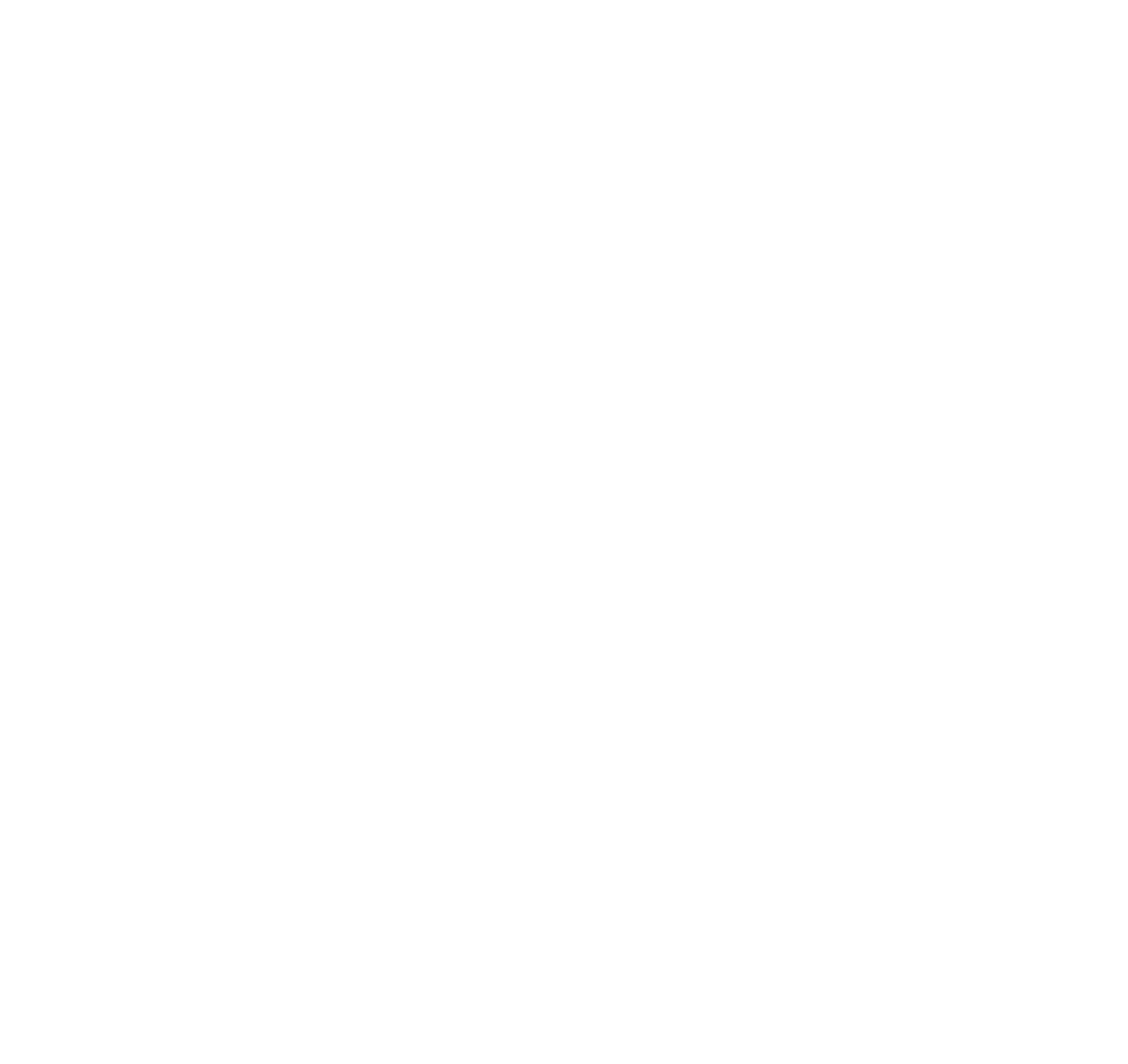 New Age Bebidas